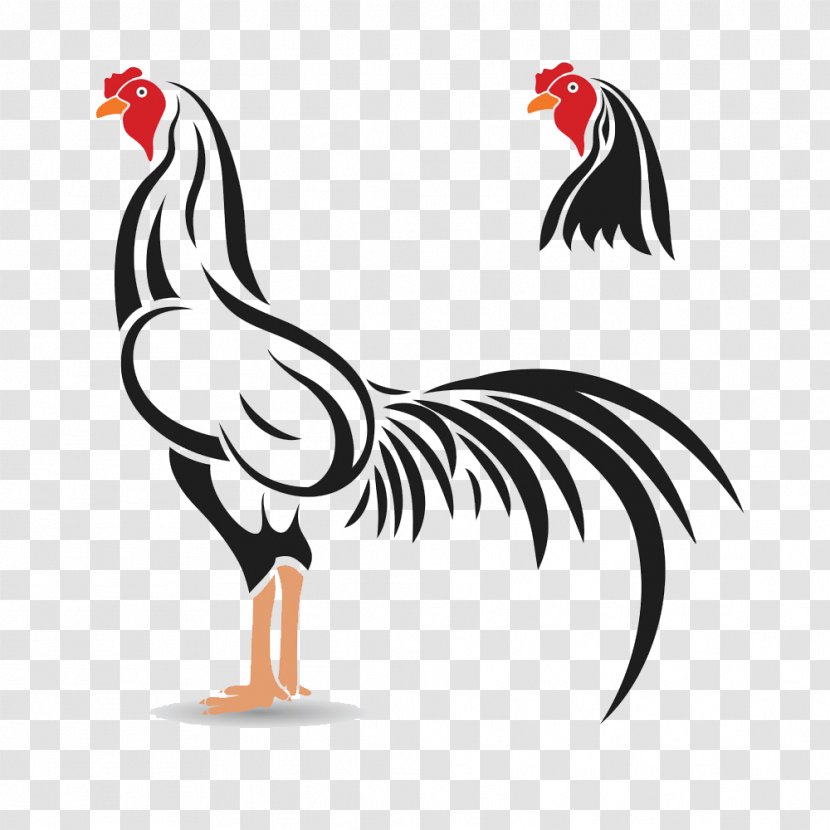 Cockfight Rooster Illustration - Poultry - Black Chicken Transparent PNG