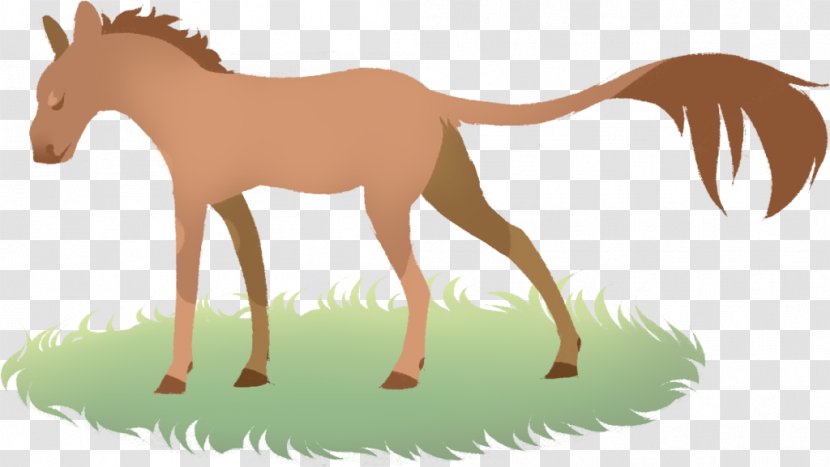Foal Mustang Stallion Donkey Camel - Horse - Negative Vibes Transparent PNG