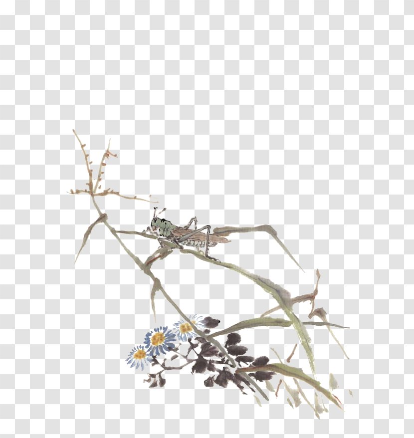 Qing Dynasty Bird-and-flower Painting - Grasshopper On Grass Transparent PNG