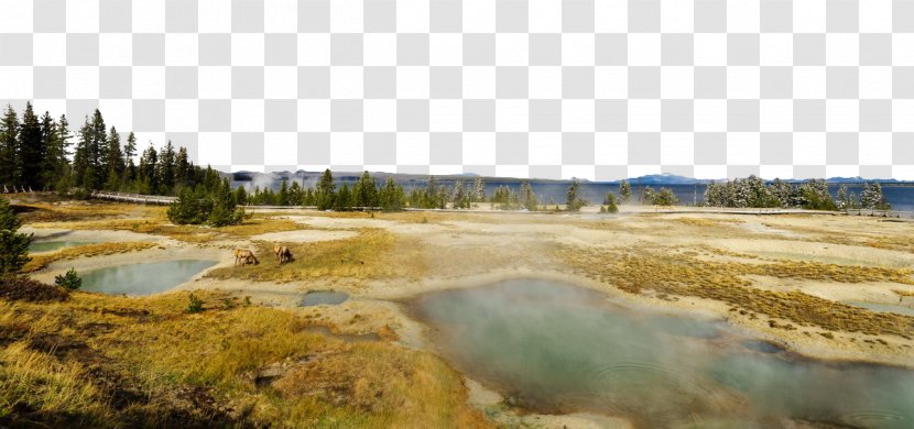 Yellowstone Caldera Shikotsu-Tu014dya National Park - Prairie - Scenic Image Transparent PNG