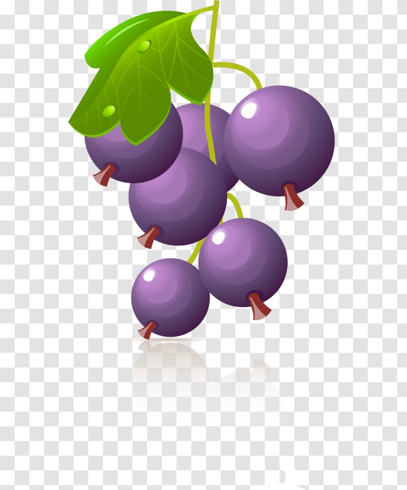 Grape Berry Clip Art - Fruit Transparent PNG