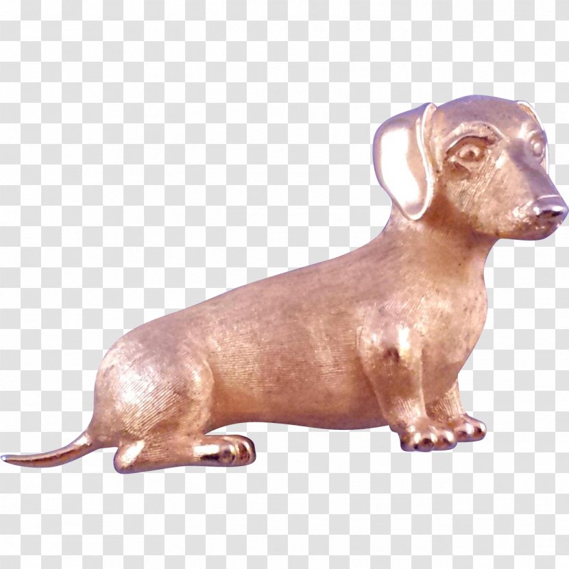 Dachshund Longdog Puppy Dog Breed Snout Transparent PNG