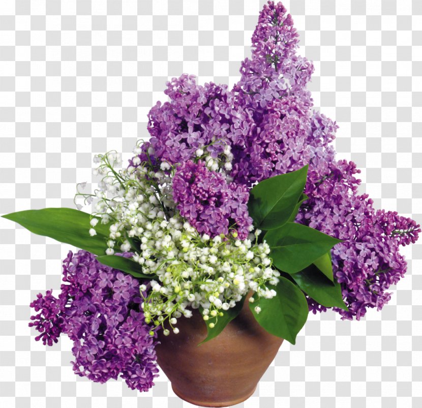 Lilac Flower Desktop Wallpaper Floral Design - Purple - Lily Of The Valley Transparent PNG