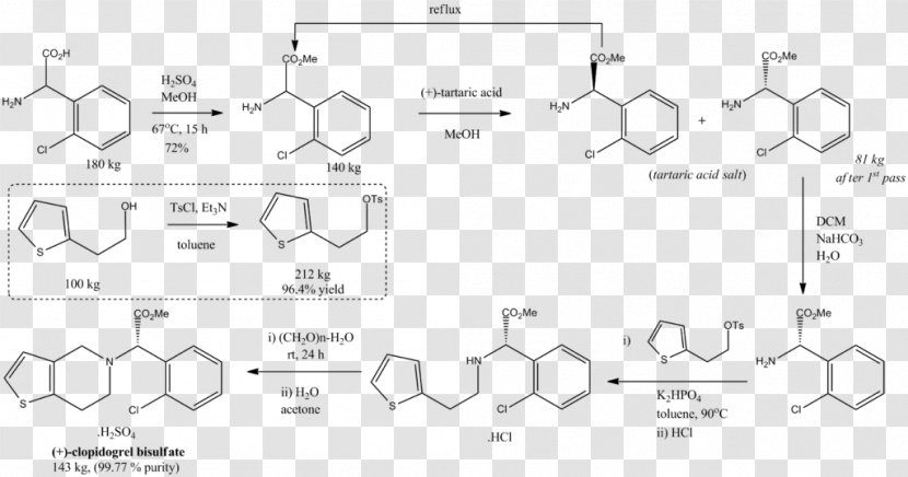 Methyl Eugenol Group Allyl Phenylpropanoid 1,2-Dimethoxybenzene - Trigonelline - Secondary Metabolite Transparent PNG