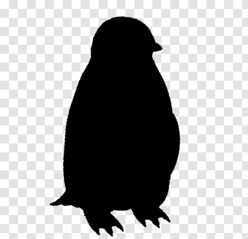 Penguin Clip Art Beak Fauna Silhouette Transparent PNG