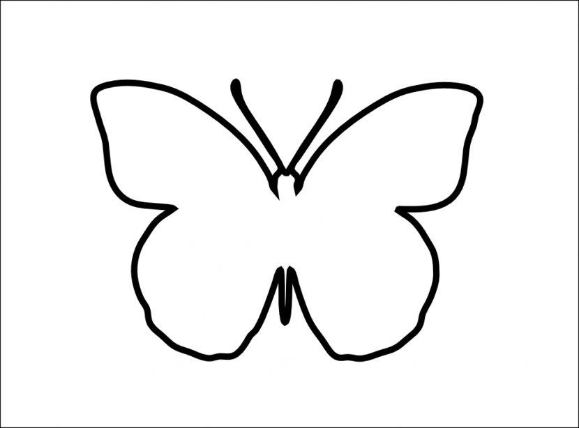 Butterfly Free Content Clip Art - Coloring Book - Images Transparent PNG