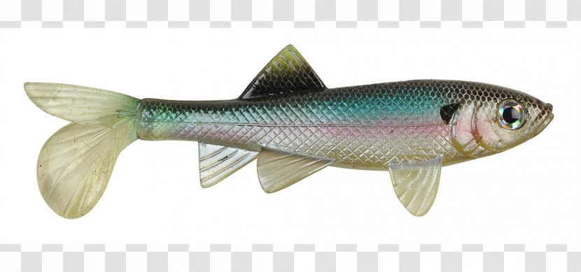 Cabela's Canadian Headquarters Fishing Berkley Milkfish Fish Hook - Big Transparent PNG