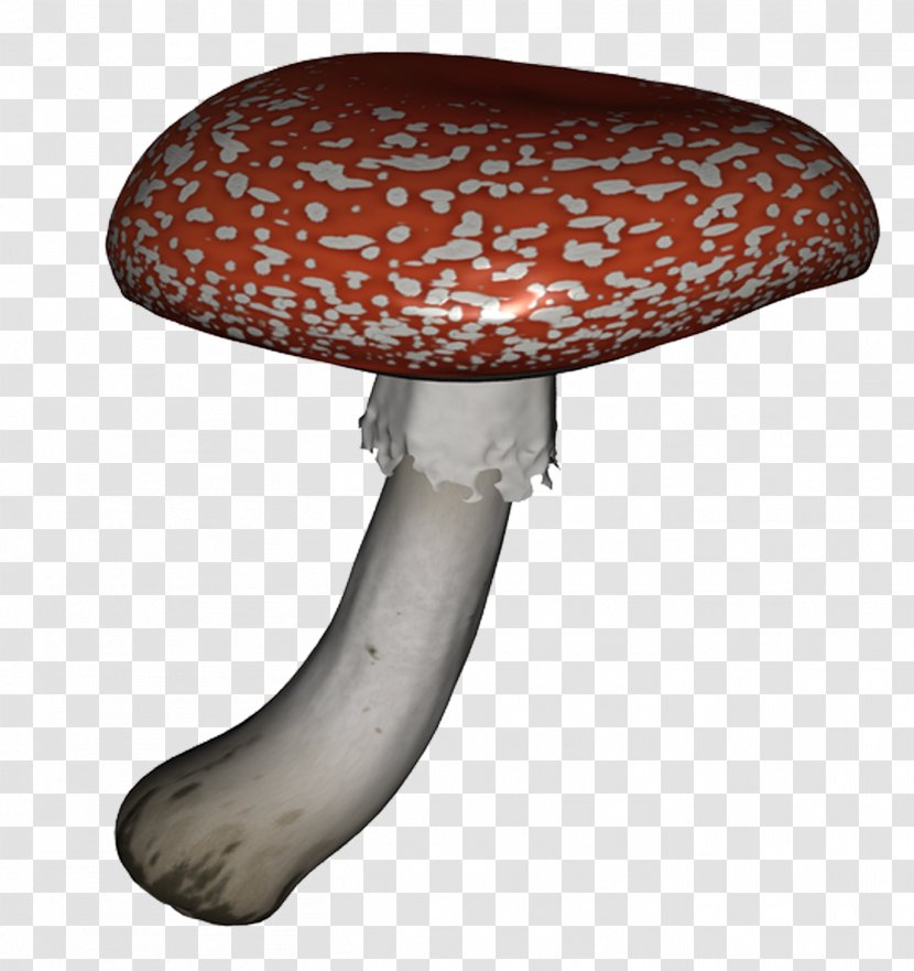 Mushroom Clip Art Image Design Transparent PNG