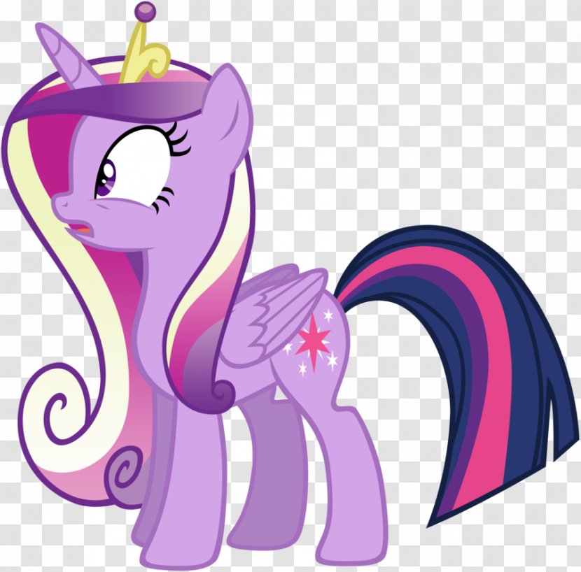 Twilight Sparkle Princess Cadance Rainbow Dash Pony Shining Armor - Flower - The Duchess Who Wasnt Day Transparent PNG