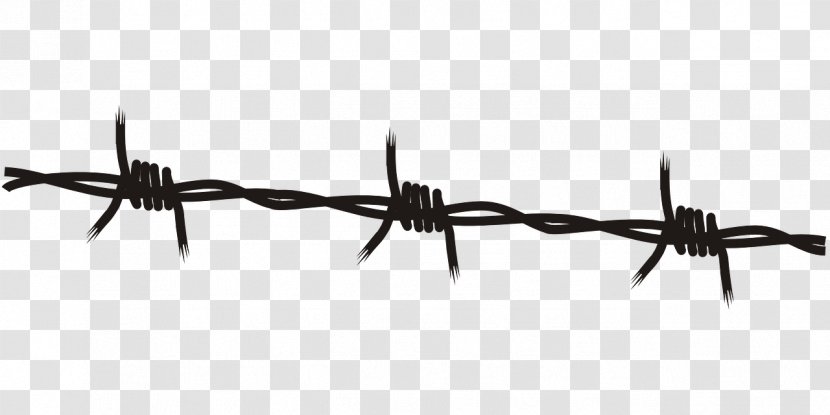 Barbed Wire Drawing Tape Clip Art - Segregation Transparent PNG