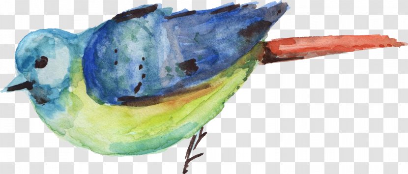 Bird Watercolor Painting - United Nations Security Council Resolution 2270 - Animal Transparent PNG