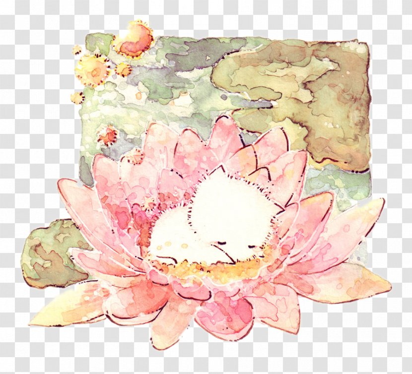 Kitten Cat Drawing - Art - Cute Sleeping On A Lotus Transparent PNG
