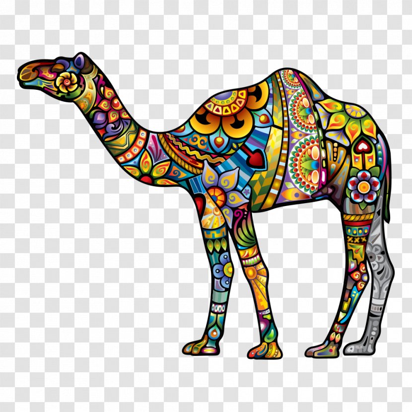 Dromedary Tattoo Illustration - Sticker - Camel Transparent PNG