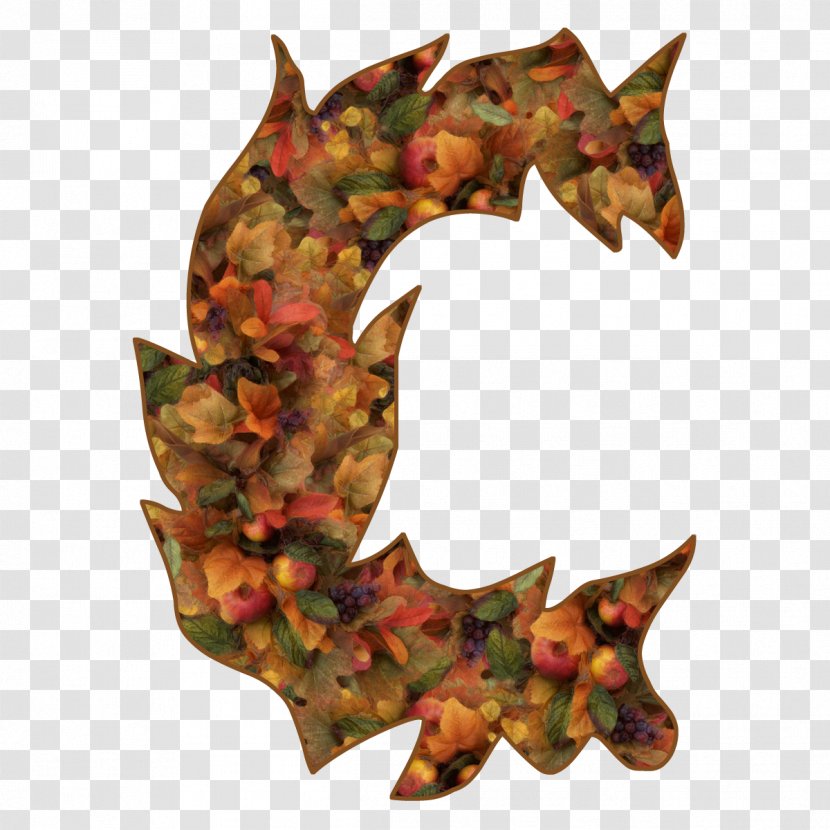 Leaf - Letter C Transparent PNG