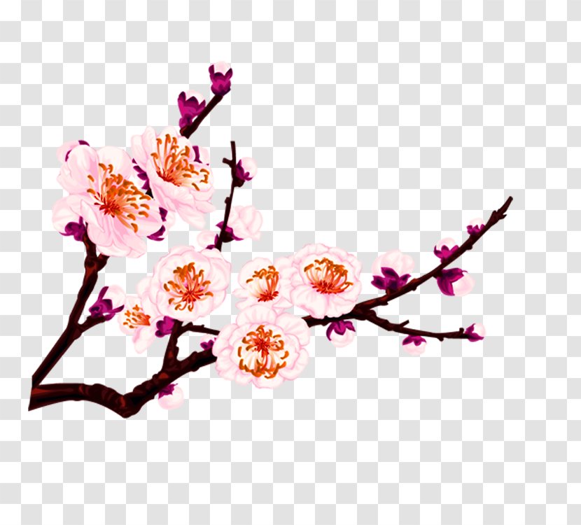 Flower Cdr Adobe Illustrator - Pink - Peach Blossom Transparent PNG