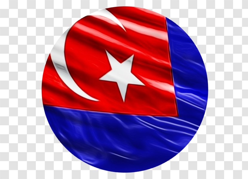 Istana Besar Perak Penang Putrajaya Johor State Executive Council - Bahru - Flag Transparent PNG