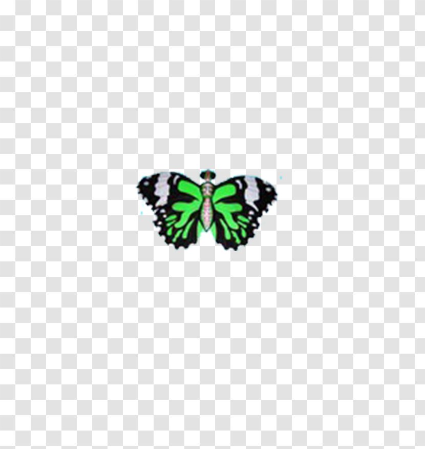 Nymphalidae Butterfly Green Pattern - Invertebrate Transparent PNG