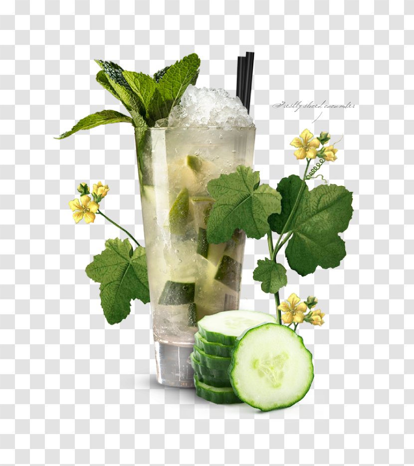 Mojito Gin And Tonic Cocktail Garnish - Alcoholic Drink Transparent PNG
