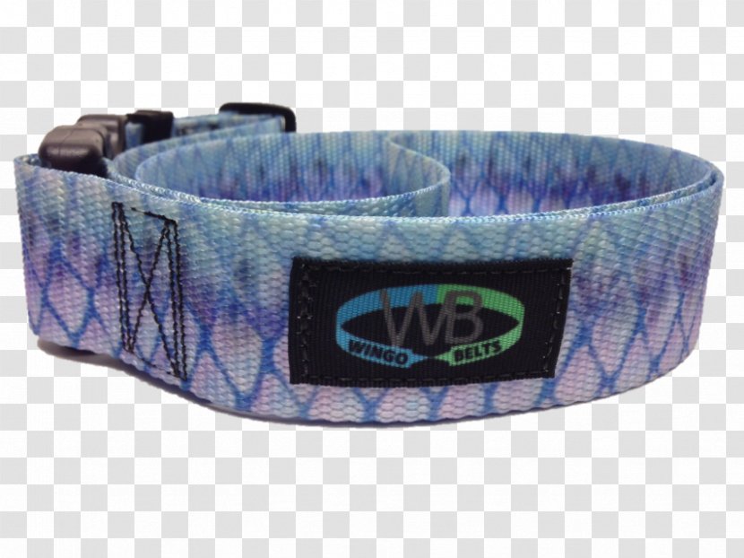Dog Collar Amazon.com Belt - Sport Transparent PNG