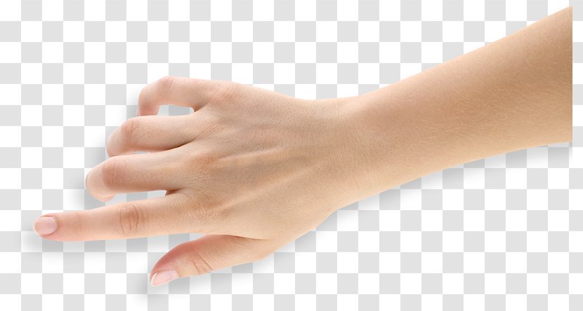 Human Body Skin Hand Arm Digit - Model - Group Transparent PNG