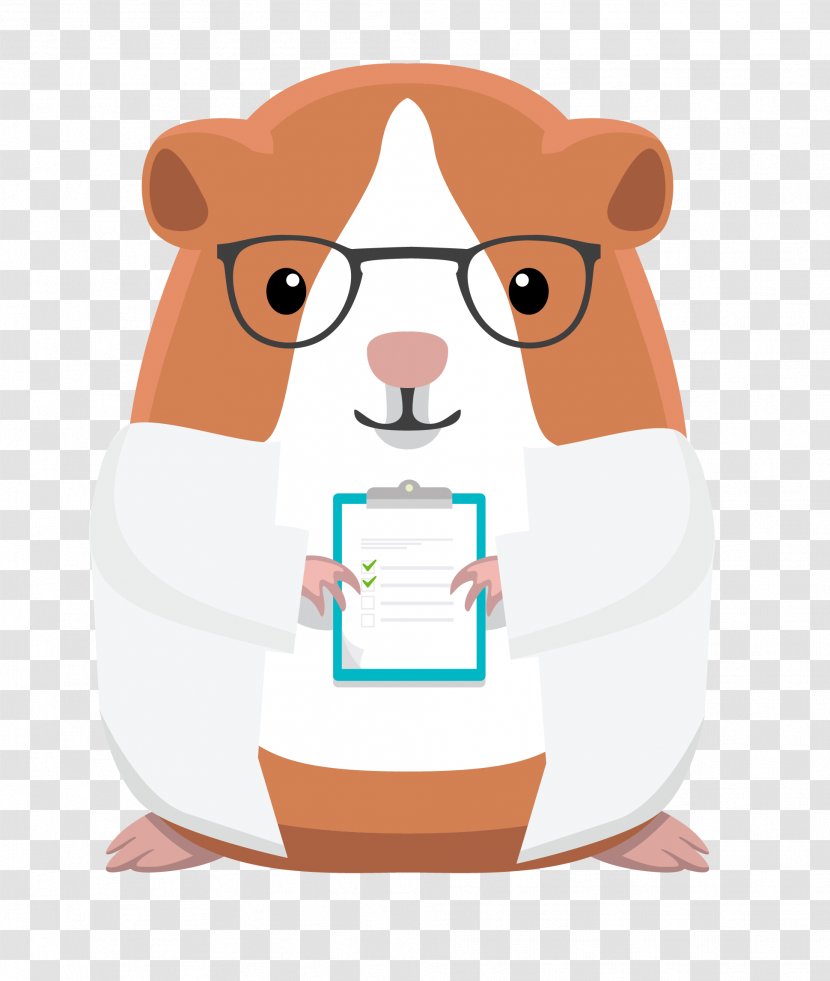 Hamster Product Muroids Cartoon Food - Guinea Pig Transparent PNG