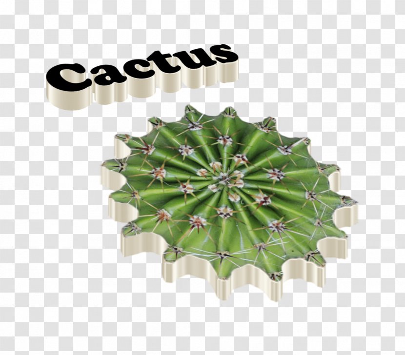 Cactaceae Logo - Cactus Transparent PNG