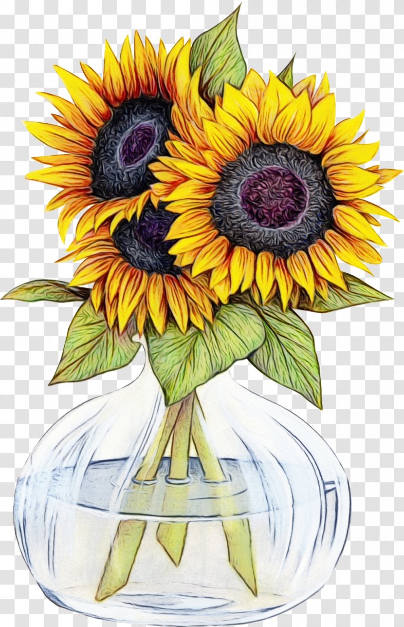 Sunflower - Watercolor - Petal Seed Transparent PNG