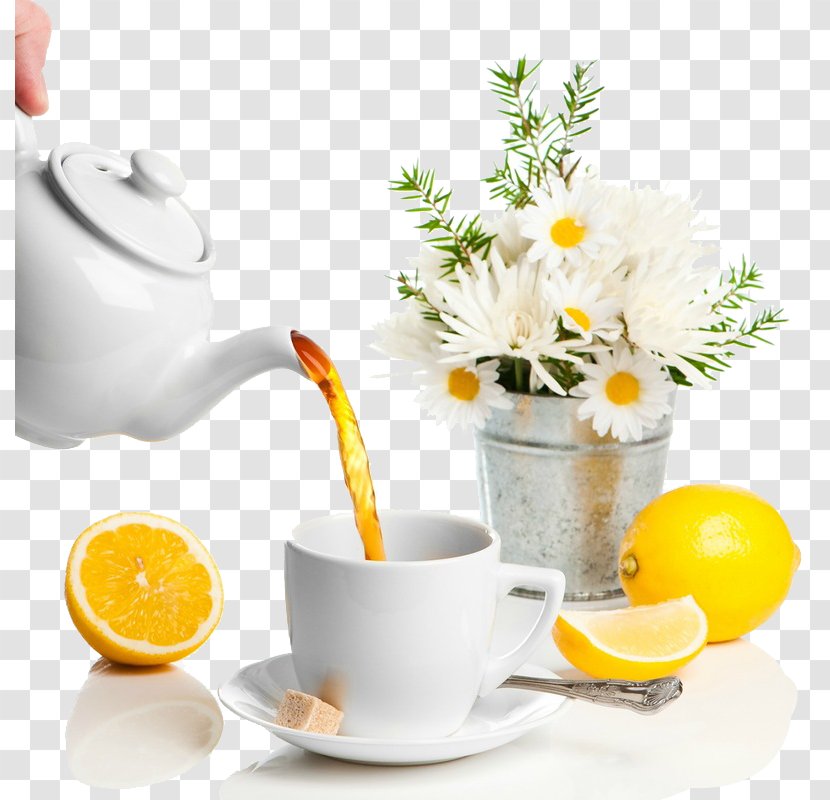 Green Tea White Teapot Teacup - Drinkware - Free Time Transparent PNG