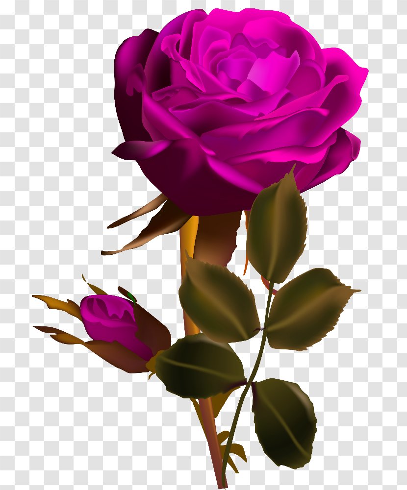 Rose Flower Red Desktop Wallpaper Clip Art - Flowering Plant - Loving Card Transparent PNG