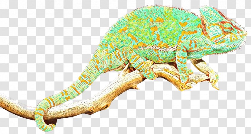 Chameleons Iguanas Insect Fauna Terrestrial Animal - Gecko - Figure Transparent PNG