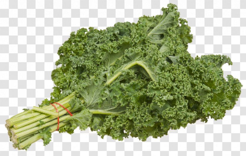 Smoothie Lacinato Kale Leaf Vegetable Green - Vegetarian Food Transparent PNG