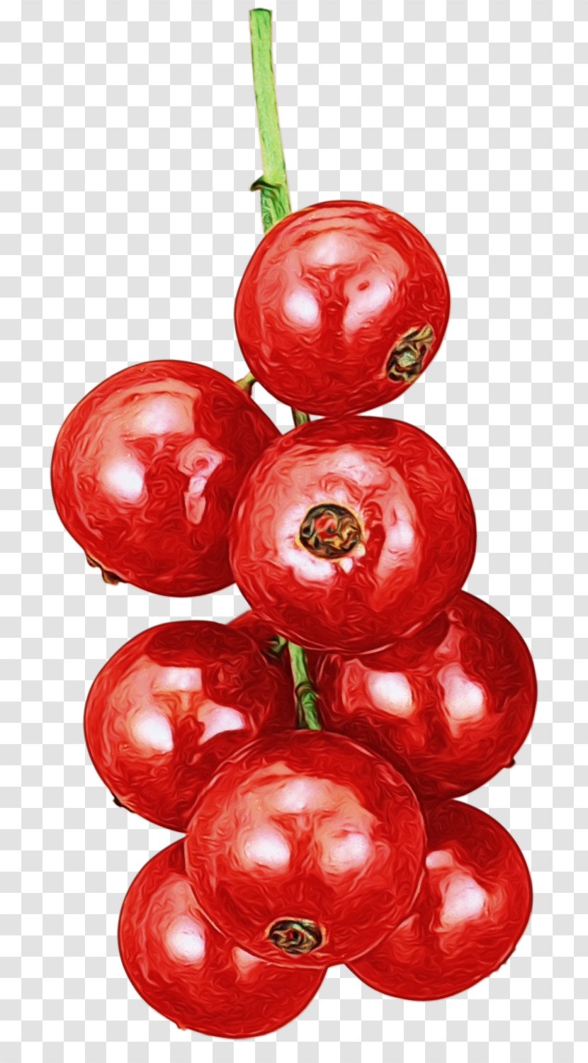 Red Christmas Ornament - Decoration - Flower Superfruit Transparent PNG