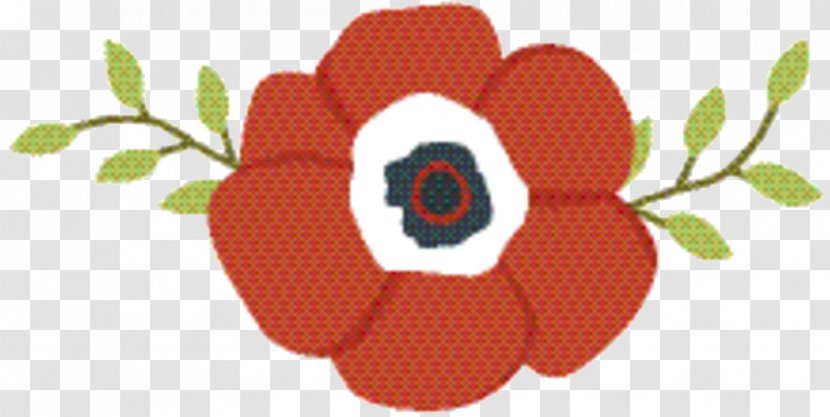 Poppy Flower - Family - Anemone Transparent PNG