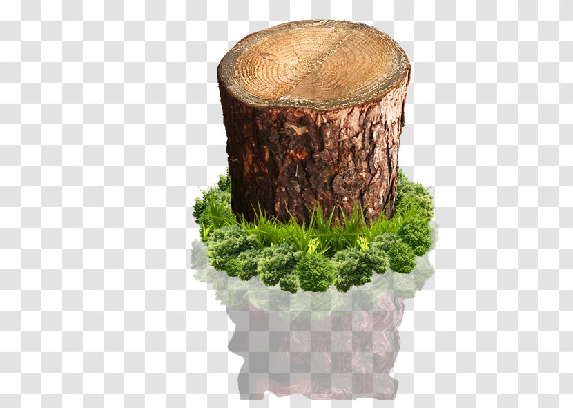 Wood Tree Stump - Grass Transparent PNG