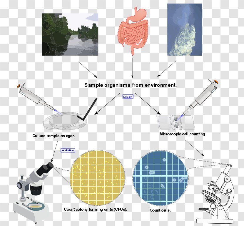 Microbial Ecology Microorganism Population Biology Biomass - Natural Environment Transparent PNG