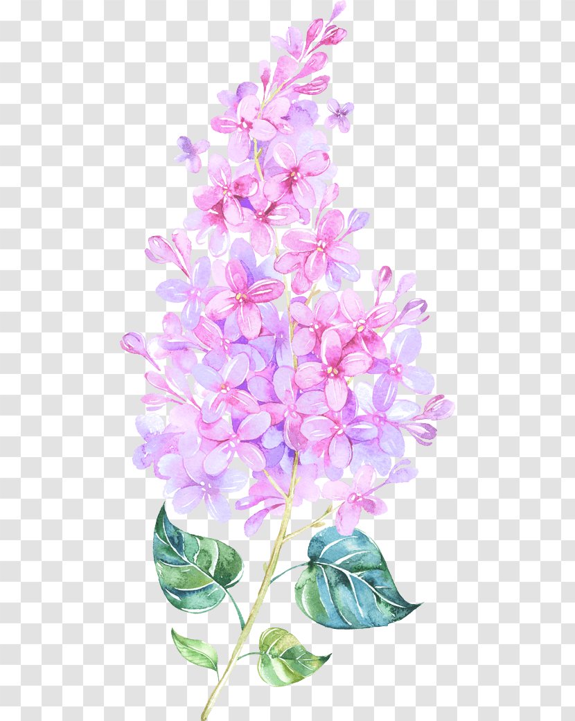 Watercolor: Flowers Watercolor Painting Clip Art Watercolour - Lilac - Hyacinth Flower Transparent PNG