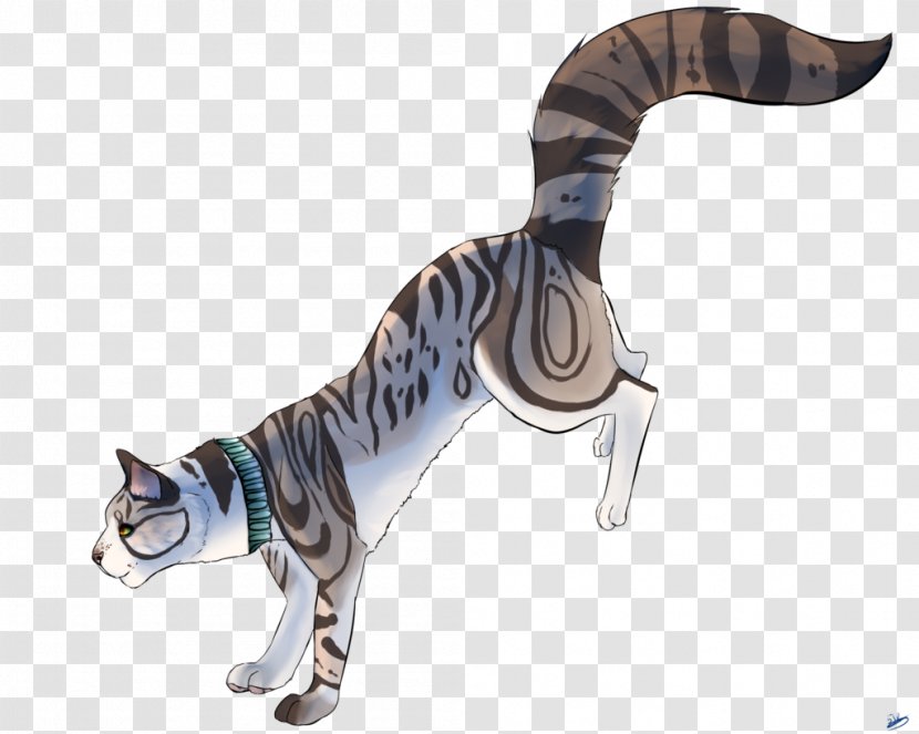 Tail - Cat - Are You Ready Transparent PNG
