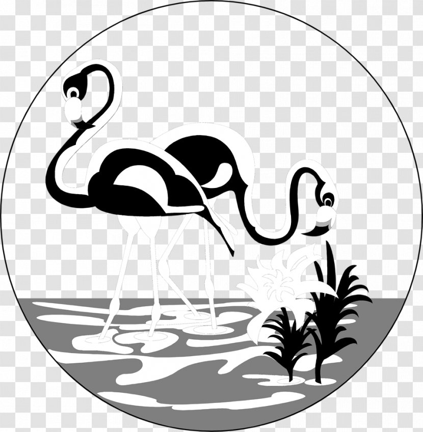 Flamingo Drawing Black And White Clip Art - Flamenco - Flamingos Transparent PNG