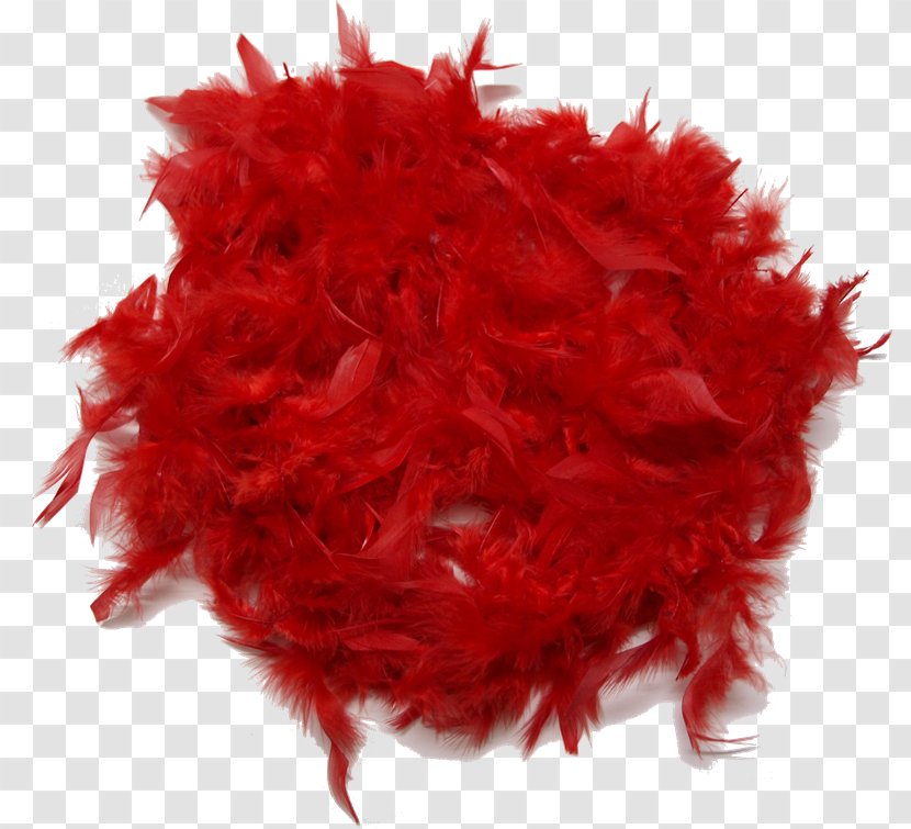 Feather Boa Clothing Accessories PhotoScape - Plumas Transparent PNG