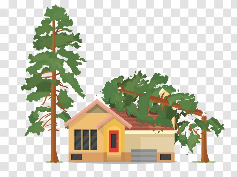 Vector Graphics Tree Clip Art House Illustration - Conifer Transparent PNG