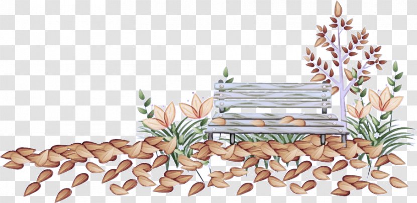 Plant Pine Family Transparent PNG