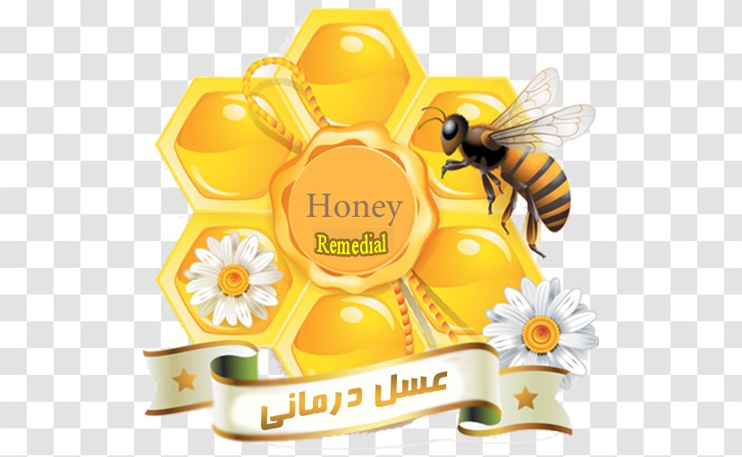 Honey Bee Honeycomb Insect - Photography Transparent PNG