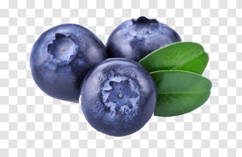 Blueberry Clip Art Image Fruit - Prune Transparent PNG
