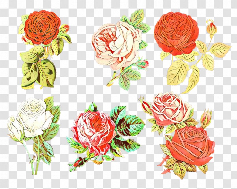 Garden Roses Floral Design Cut Flowers Cabbage Rose - Artificial Flower - Bouquet Transparent PNG