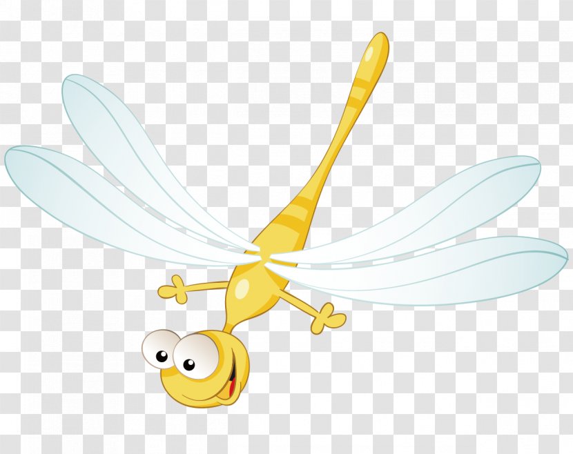 Cartoon Dragonfly - Insect - Vector Material Transparent PNG