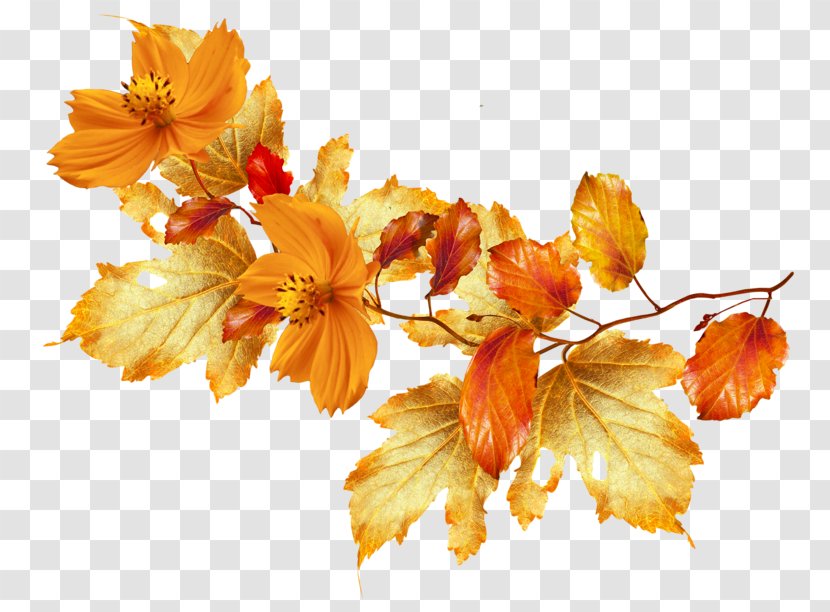 Flower Autumn Desktop Wallpaper Clip Art - Garland Transparent PNG