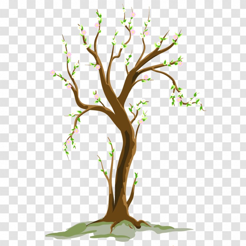 Clip Art Tree Free Content Illustration - Woody Plant - Sprout Transparent PNG