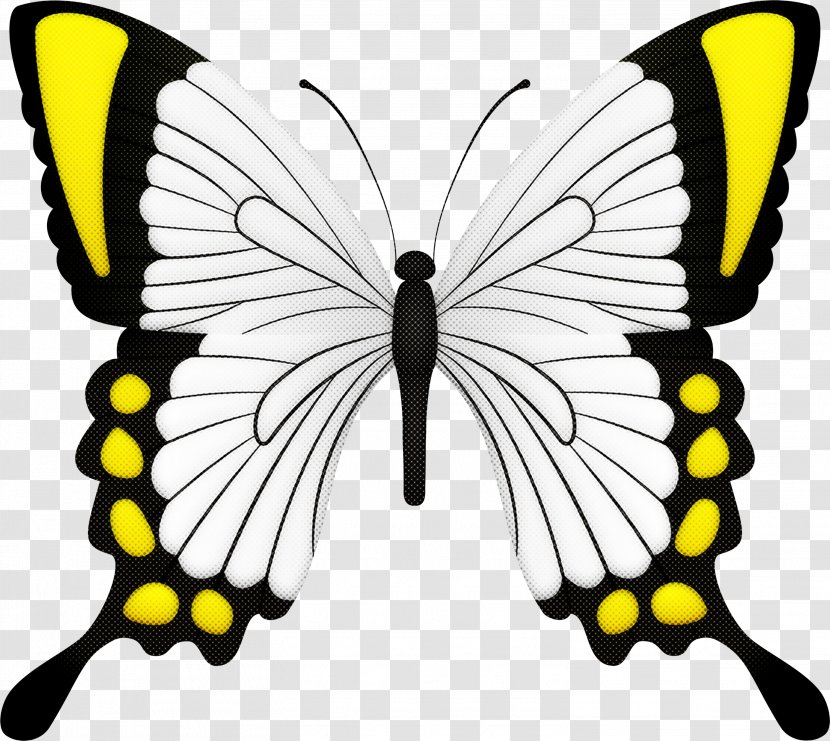 Moths And Butterflies Butterfly Papilio Machaon Insect Swallowtail - Zebra Transparent PNG