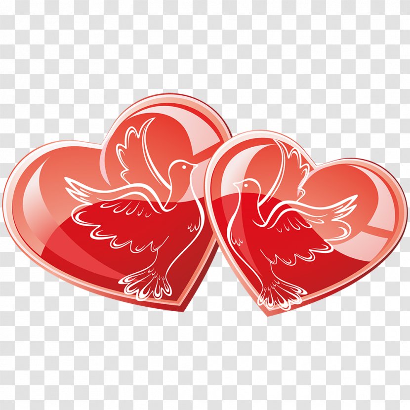 Dove - Heart - Composition Transparent PNG