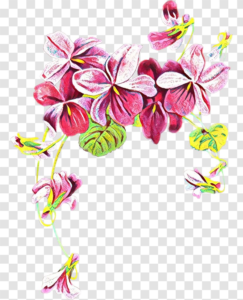 Pink Flower Cartoon - Cut Flowers - Moth Orchid Wildflower Transparent PNG